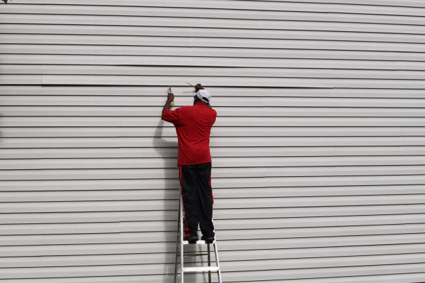 Best Siding Removal and Disposal  in De Smet, SD