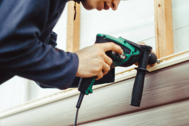 Affordable Siding Repair and Maintenance Services in De Smet, SD